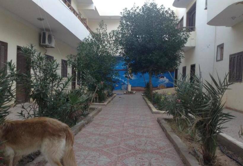 هتل Bedouin House