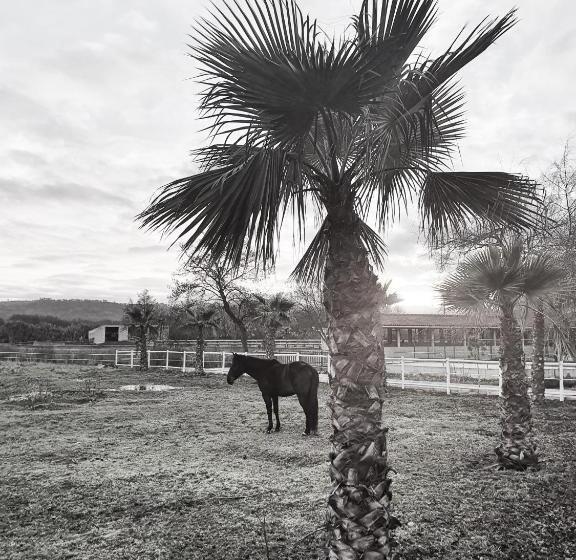 Quinta Do Pinheiro Hotel E Eventos By Grupo Quinta Dos Lagos