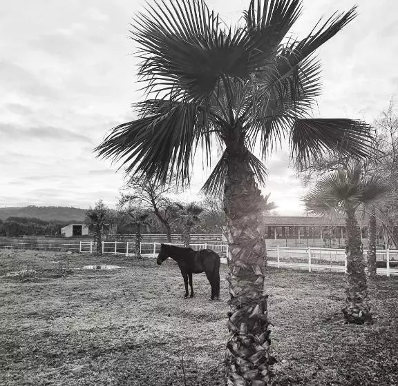 Quinta Do Pinheiro Hotel E Eventos By Grupo Quinta Dos Lagos