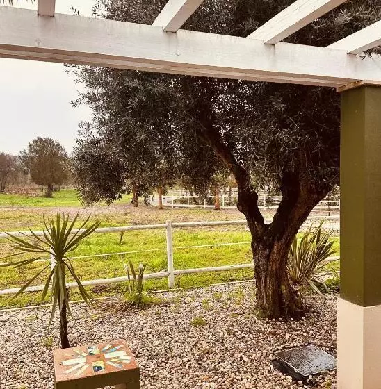 Quinta Do Pinheiro Hotel E Eventos By Grupo Quinta Dos Lagos