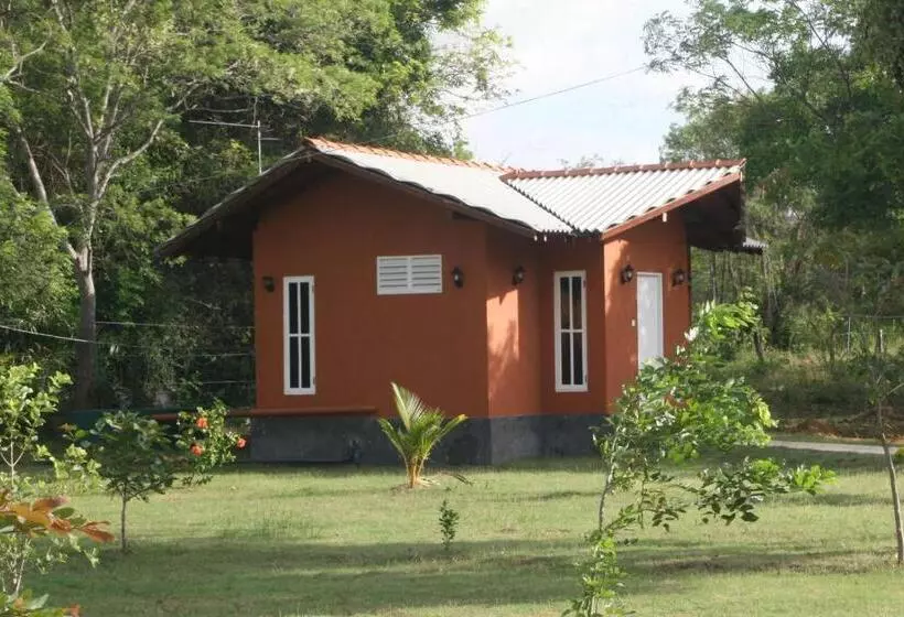 リゾートホテル Ritigala Lodge