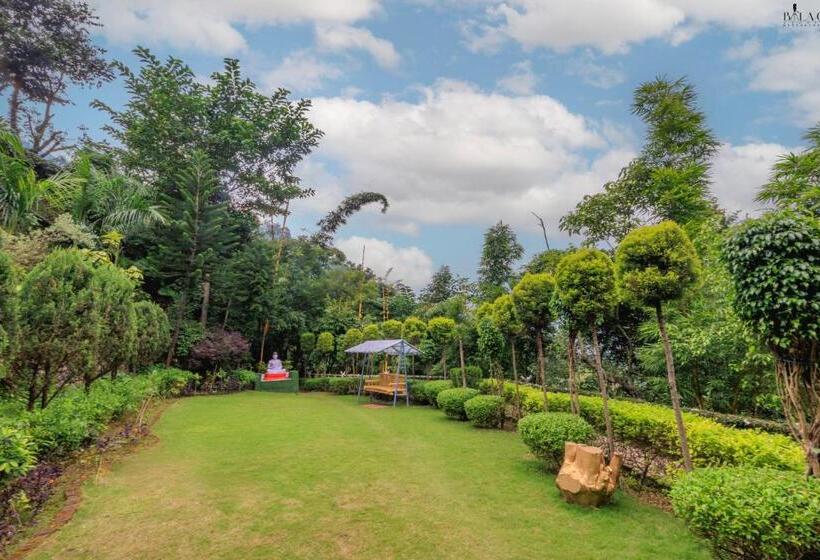 Курорт Veda5 Ayurveda & Yoga Retreat