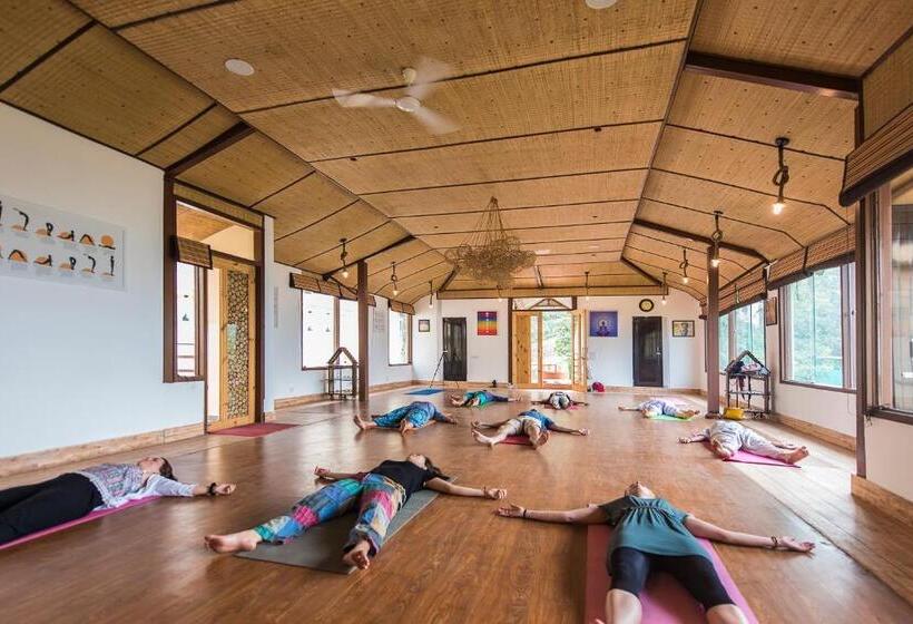 Курорт Veda5 Ayurveda & Yoga Retreat