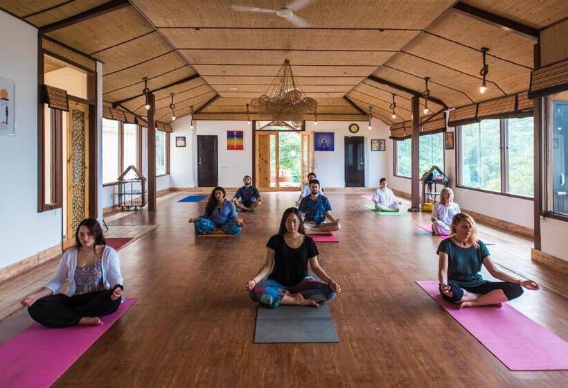 Курорт Veda5 Ayurveda & Yoga Retreat