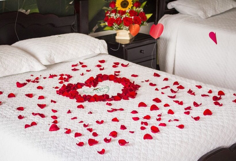 ホテル Hostería Bohios