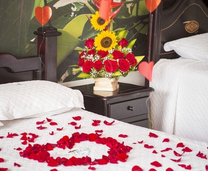 ホテル Hostería Bohios