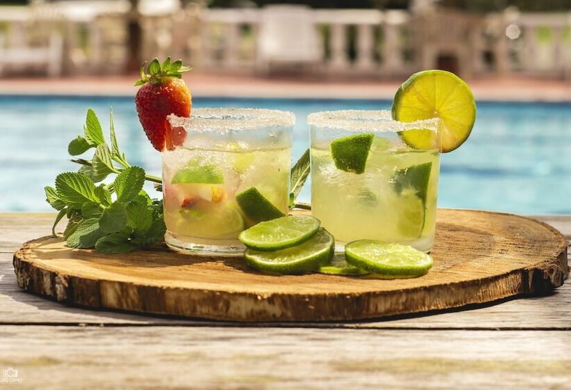 ホテル Hostería Bohios