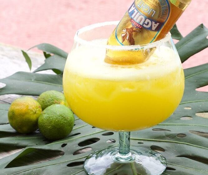 ホテル Hostería Bohios