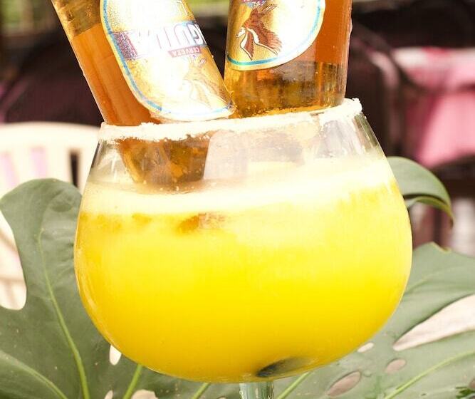 ホテル Hostería Bohios