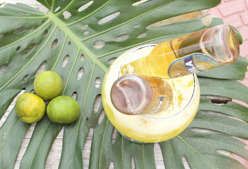 ホテル Hostería Bohios