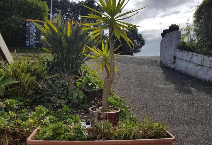 Bed and Breakfast Harbour View Guesthouse