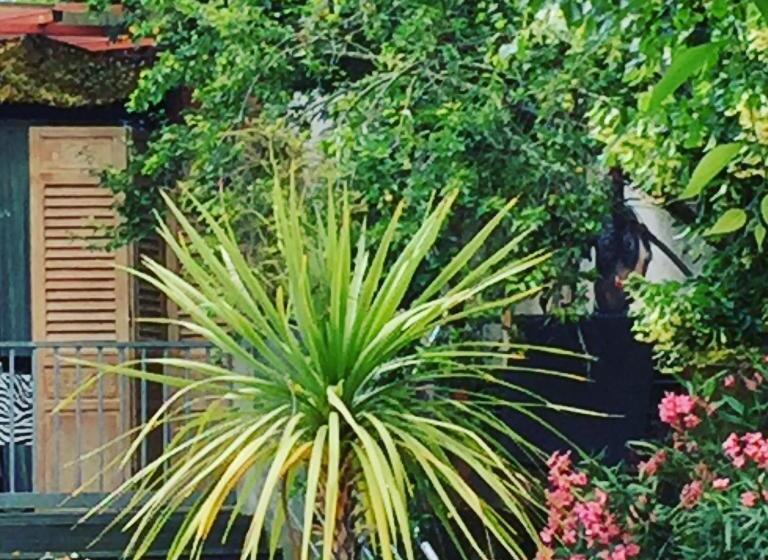 Bed And Breakfast Shandita