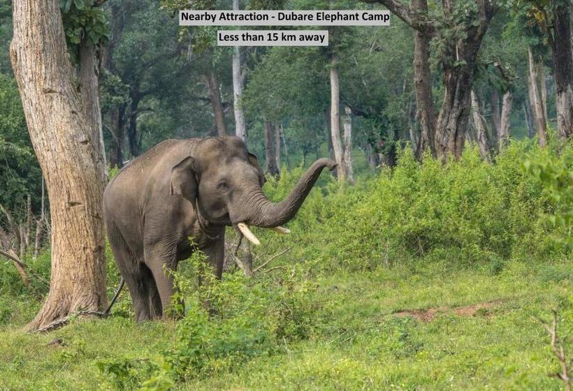 ホテル Lee Comfort Kushalnagar