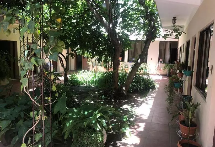 هتل Hostal Aramayo