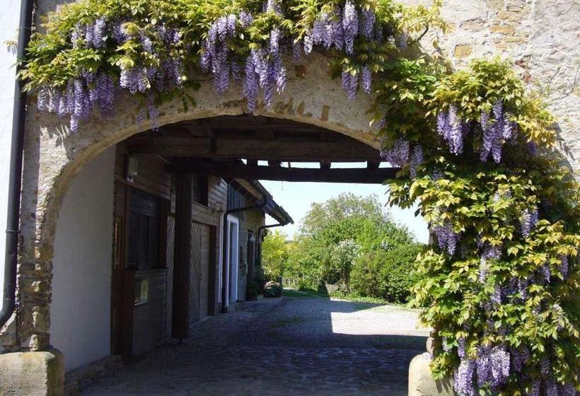 Отель Silvia Krafts Bed And Breakfast