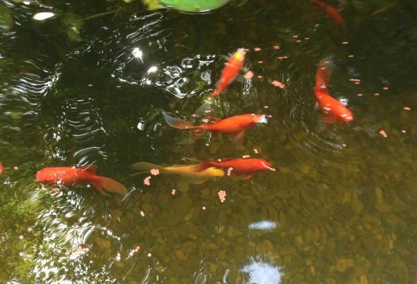 Отель Silvia Krafts Bed And Breakfast