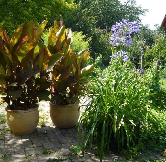 Отель Silvia Krafts Bed And Breakfast