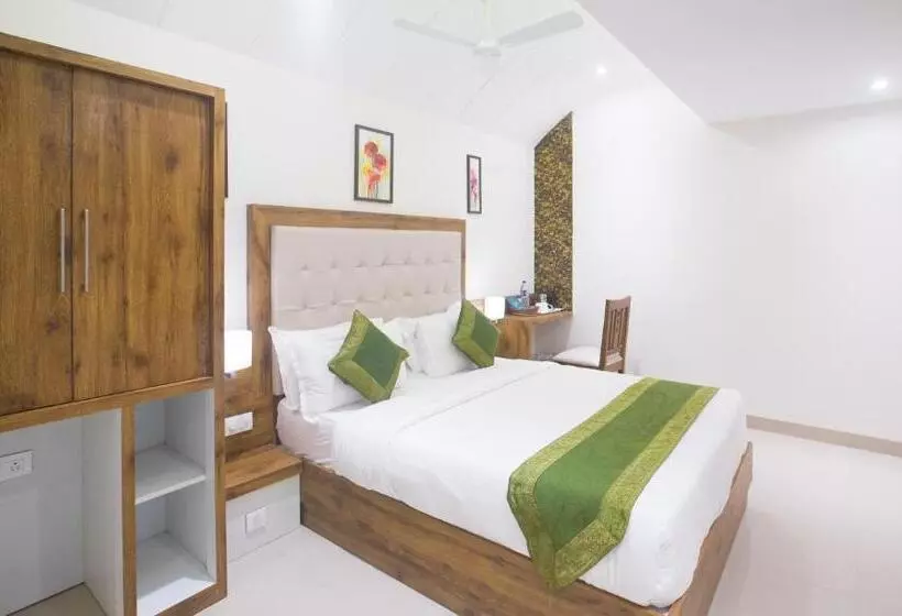 Hotelli Treebo Amber International