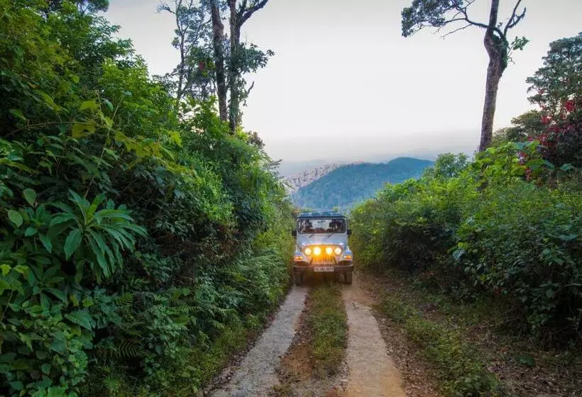 Resort Forest County