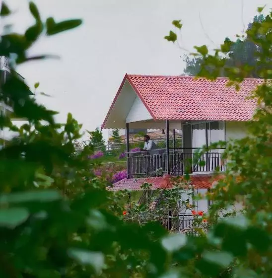 Resort Forest County