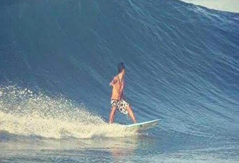 ユースホステル The Nest Canggu