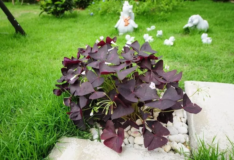 Montara Hotel & Resort Korat