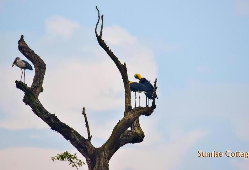 Hotel Sunrise Cottage