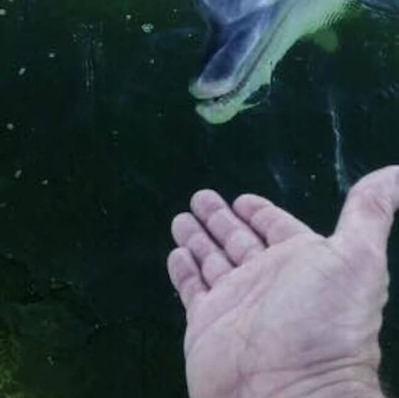 Whyalla Country Inn Motel