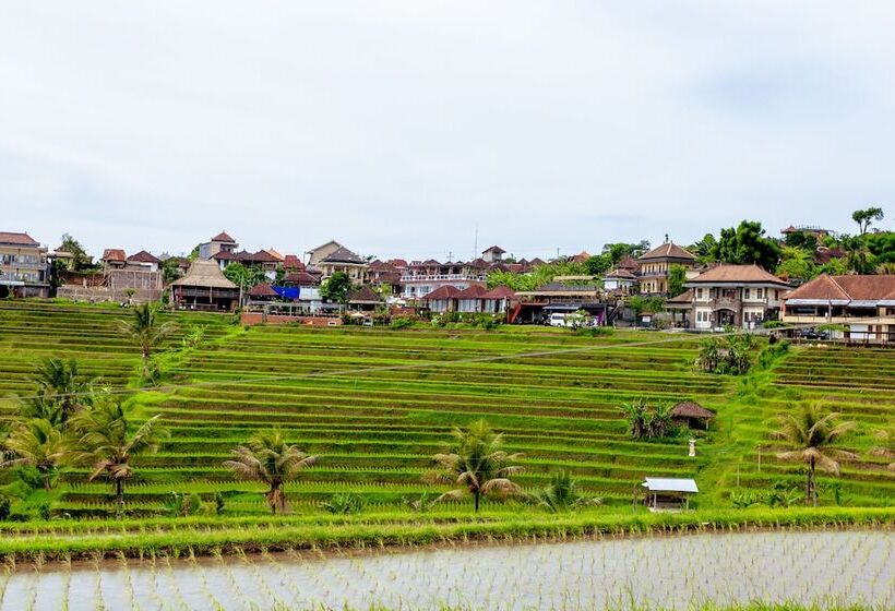 住宿加早餐  Bhuana Agung Villa And Restaurant