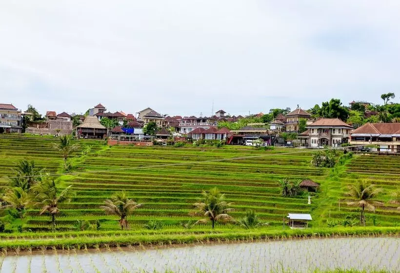 تختخواب و صبحانه Bhuana Agung Villa And Restaurant