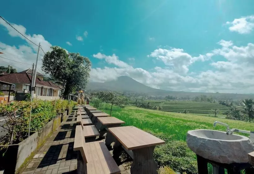 تختخواب و صبحانه Bhuana Agung Villa And Restaurant