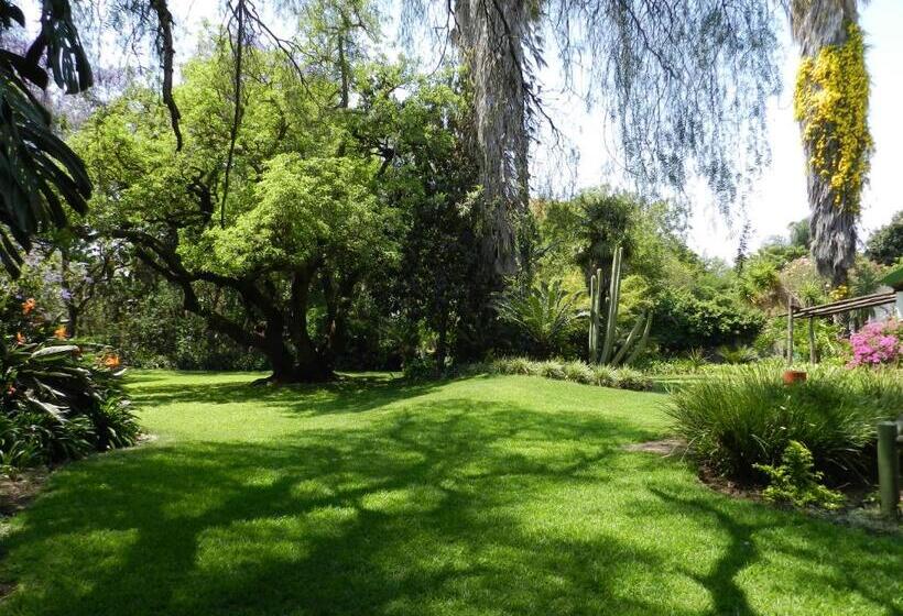 Bed and Breakfast President Paul Kruger Guest Lodge