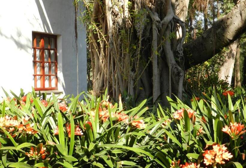 Bed and Breakfast President Paul Kruger Guest Lodge