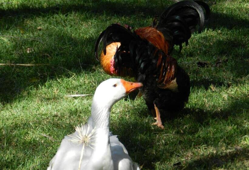 Bed and Breakfast President Paul Kruger Guest Lodge