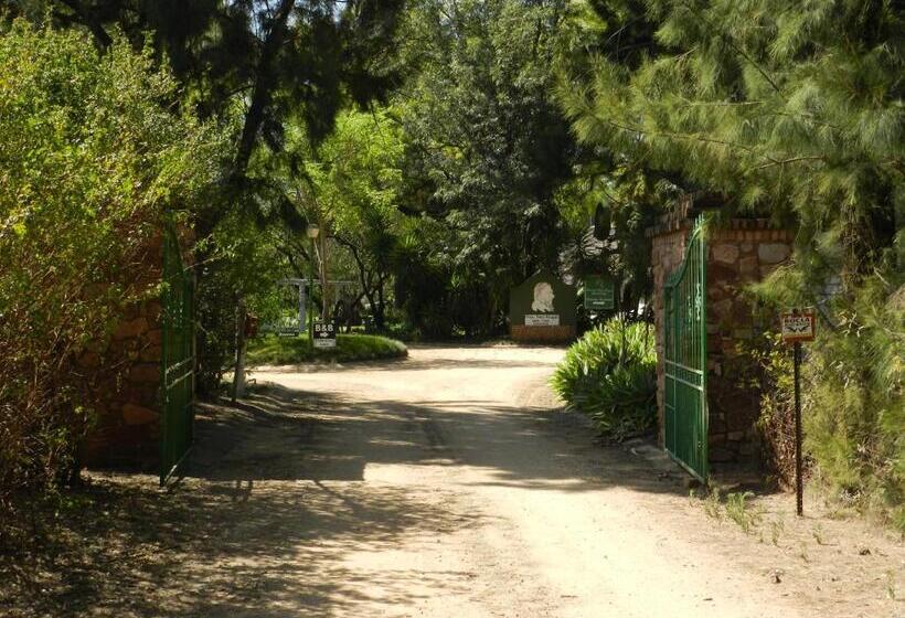 Bed and Breakfast President Paul Kruger Guest Lodge