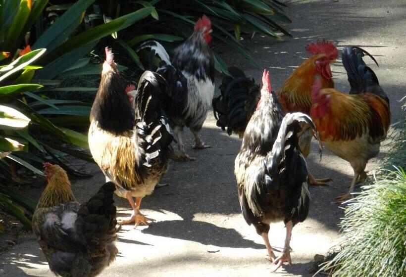 Bed and Breakfast President Paul Kruger Guest Lodge