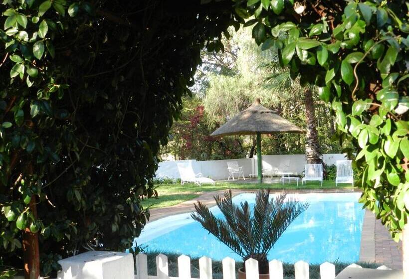 Bed and Breakfast President Paul Kruger Guest Lodge