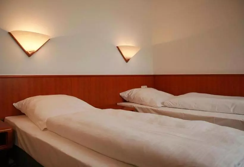 Altstadthotel Brauereigasthof Winkler