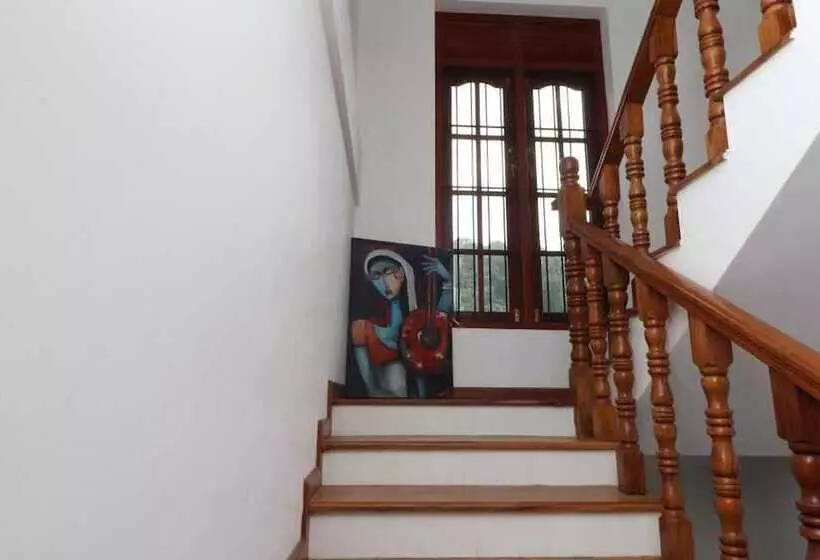 Bed and Breakfast Slightly Chilled Forest Villa