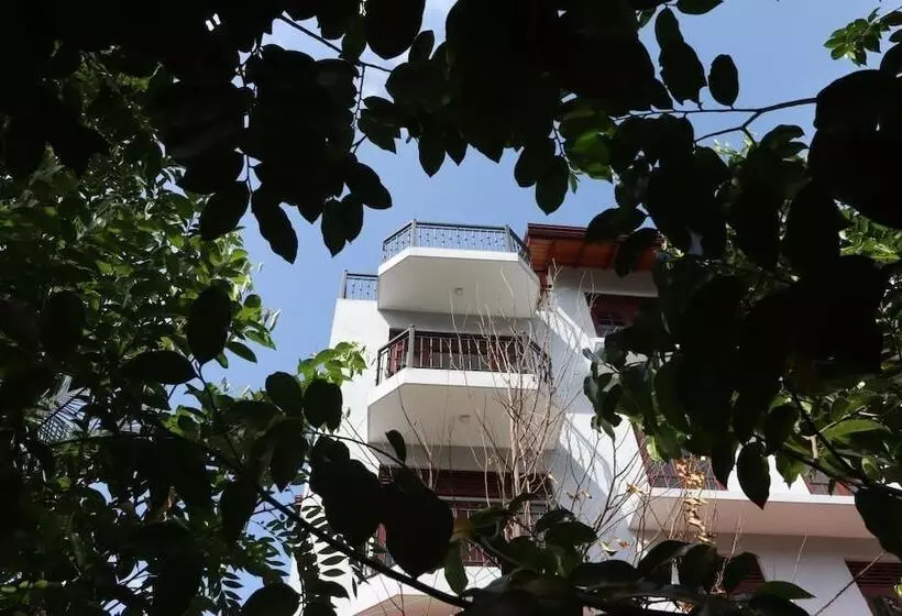 Bed and Breakfast Slightly Chilled Forest Villa