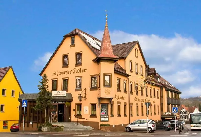 Hotelli Schwarzer Adler