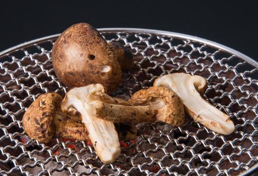 ريوكان Yamanoo