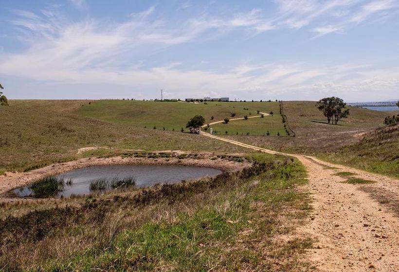 住宿加早餐  Tintagel