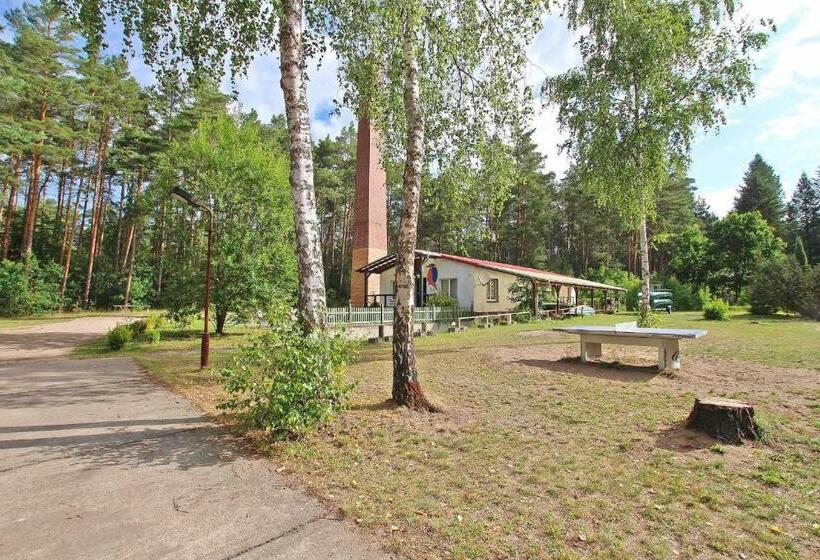 Ferienhaeuser Lychen Uck 550