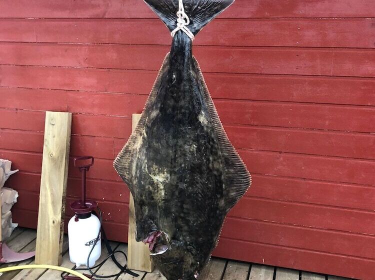 Hotel Båtsfjord Brygge   Arctic Resort