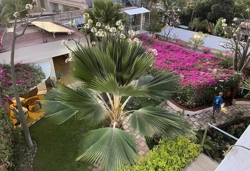 هتل Le Jardin Exotique