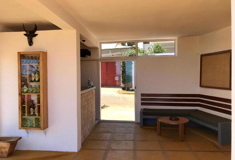 Hotel Le Jardin Exotique