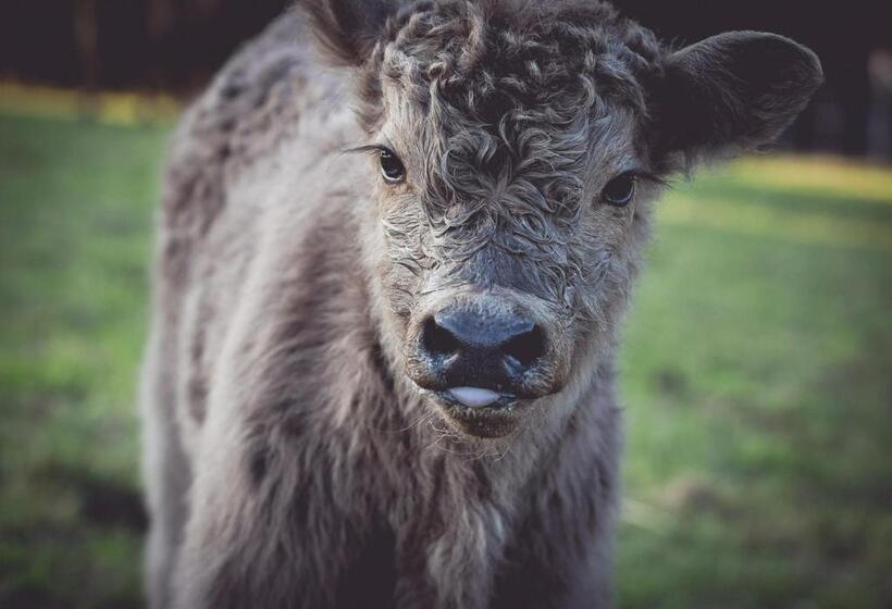 Landhotel Lammershof