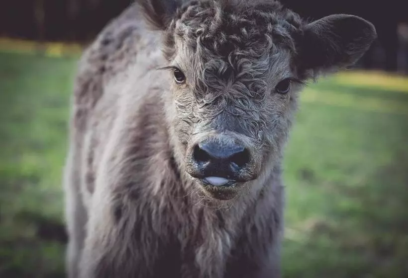 Landhotel Lammershof