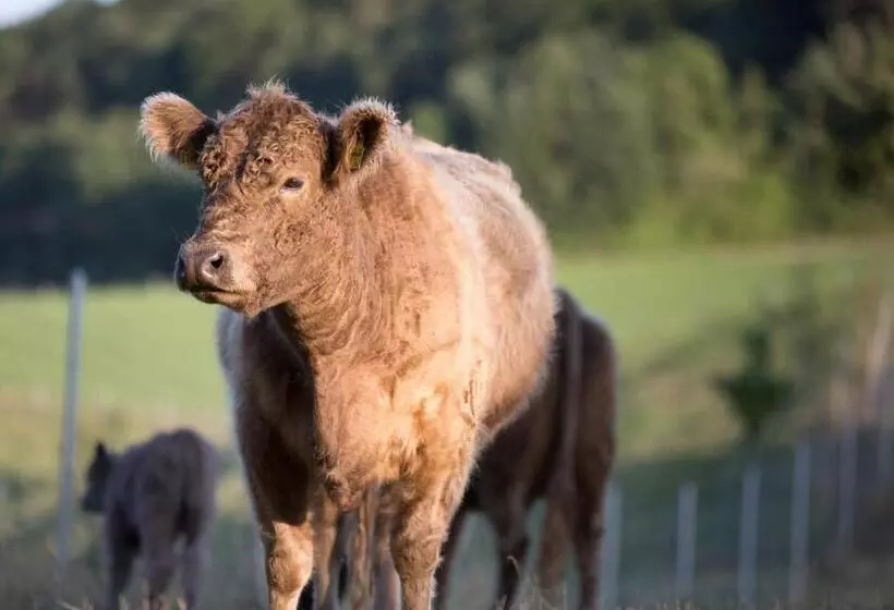 Landhotel Lammershof